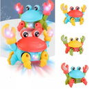 caranguejo Baby (a distração do seu bebê)