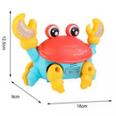 caranguejo Baby (a distração do seu bebê)